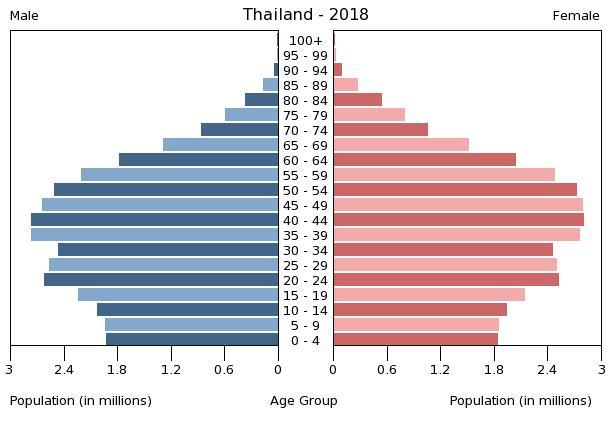 Population Pyramid