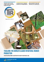 รูปภาพของ Thailand: The World’s Leader in Natural Rubber Production