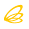 Oval