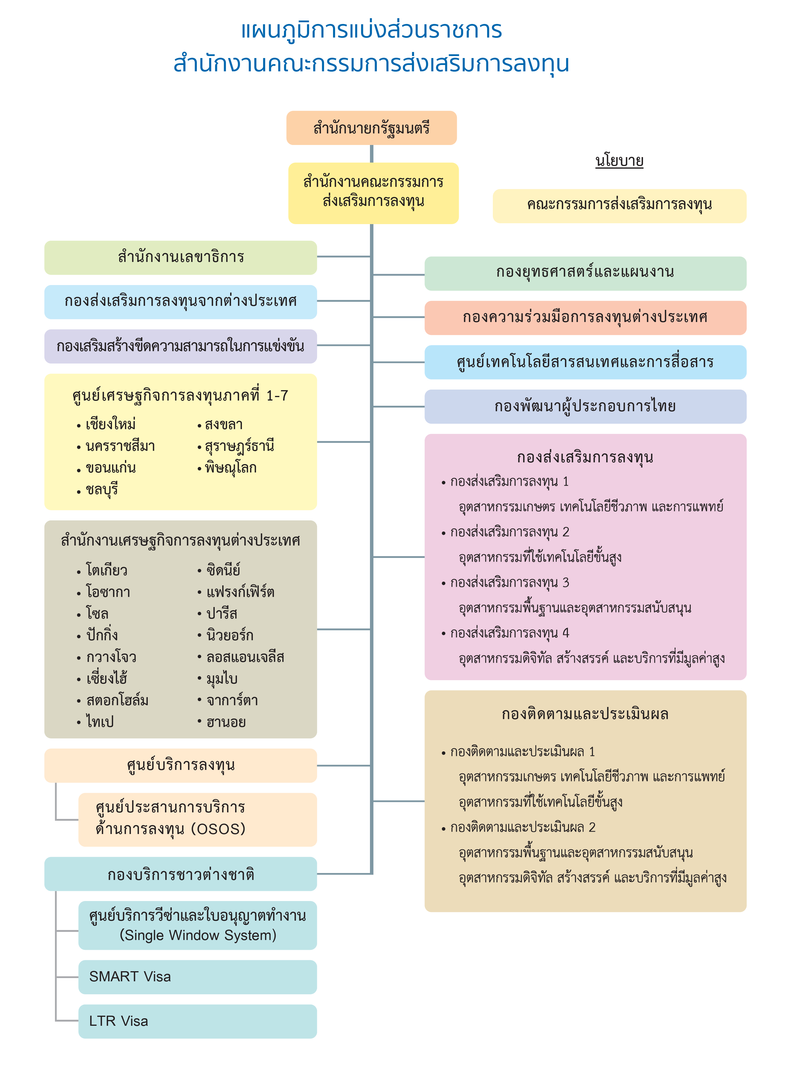Organization Chart